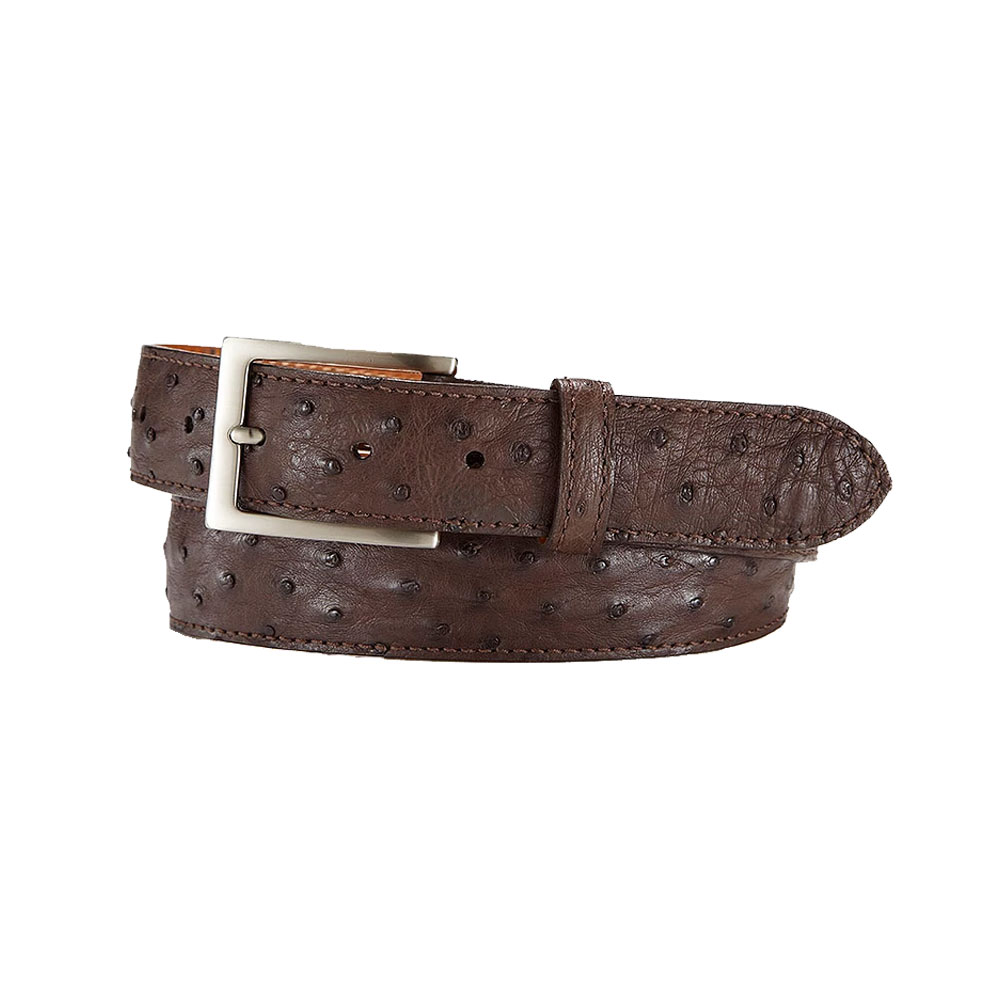 Ostrich Leather Belt for Men in Brown Color – RL20EO - Rudy Lozano